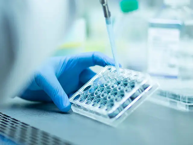 Krebsimmuntherapie